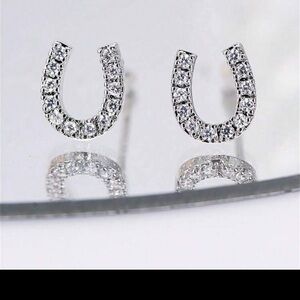 Elegant Silver Horseshoe Earrings